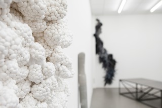 "White Bionics", Exhibition with Marcel Friedrich Weber, Art Academy Mainz, 2017/18

Work in front: Untitled, fabric cotton fiberfill, tied, 90 x 65 x 20 cm, 2017