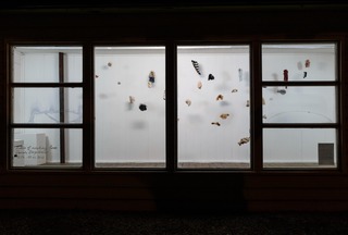 Exhibition view „Archive of morphing bones“
Nye Bokboden, Bergen
2022