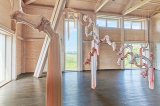 Aerial, 2023 - 2024, Dyed nylon fabric, hand shaped porcelain elements, tied
Exhibition ‚AERIAL‘, Glasslåven, Kunstsenter, 2024, Photo: Kunstdok